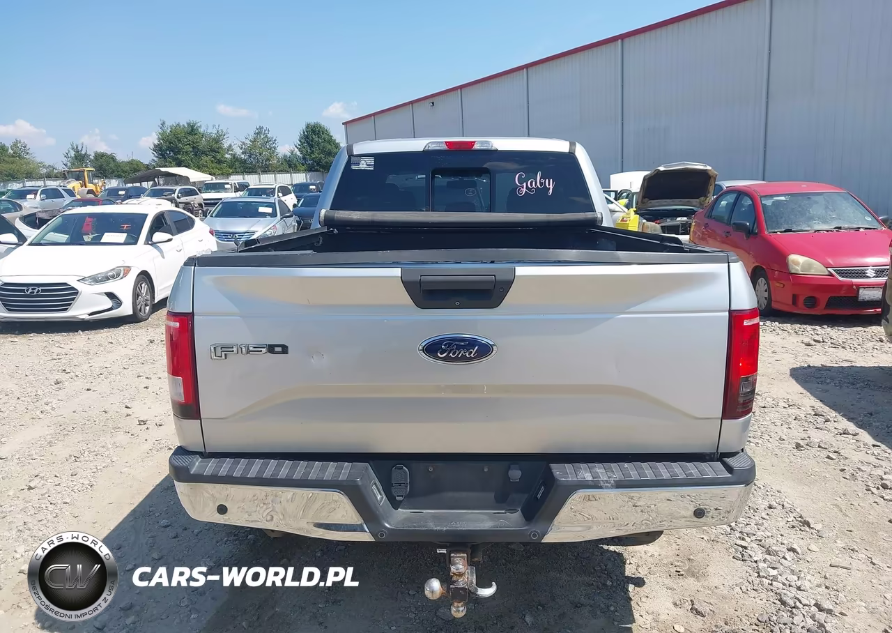 2016 Ford F-150 Xlt VIN:1FTEW1CP1GFB03826 - 16