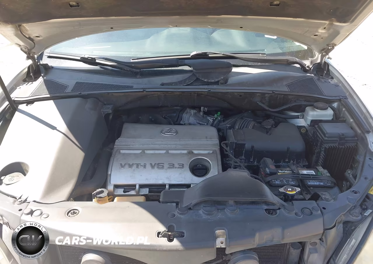 2005 Lexus Rx 330 VIN:2T2GA31U05C041462 - 10