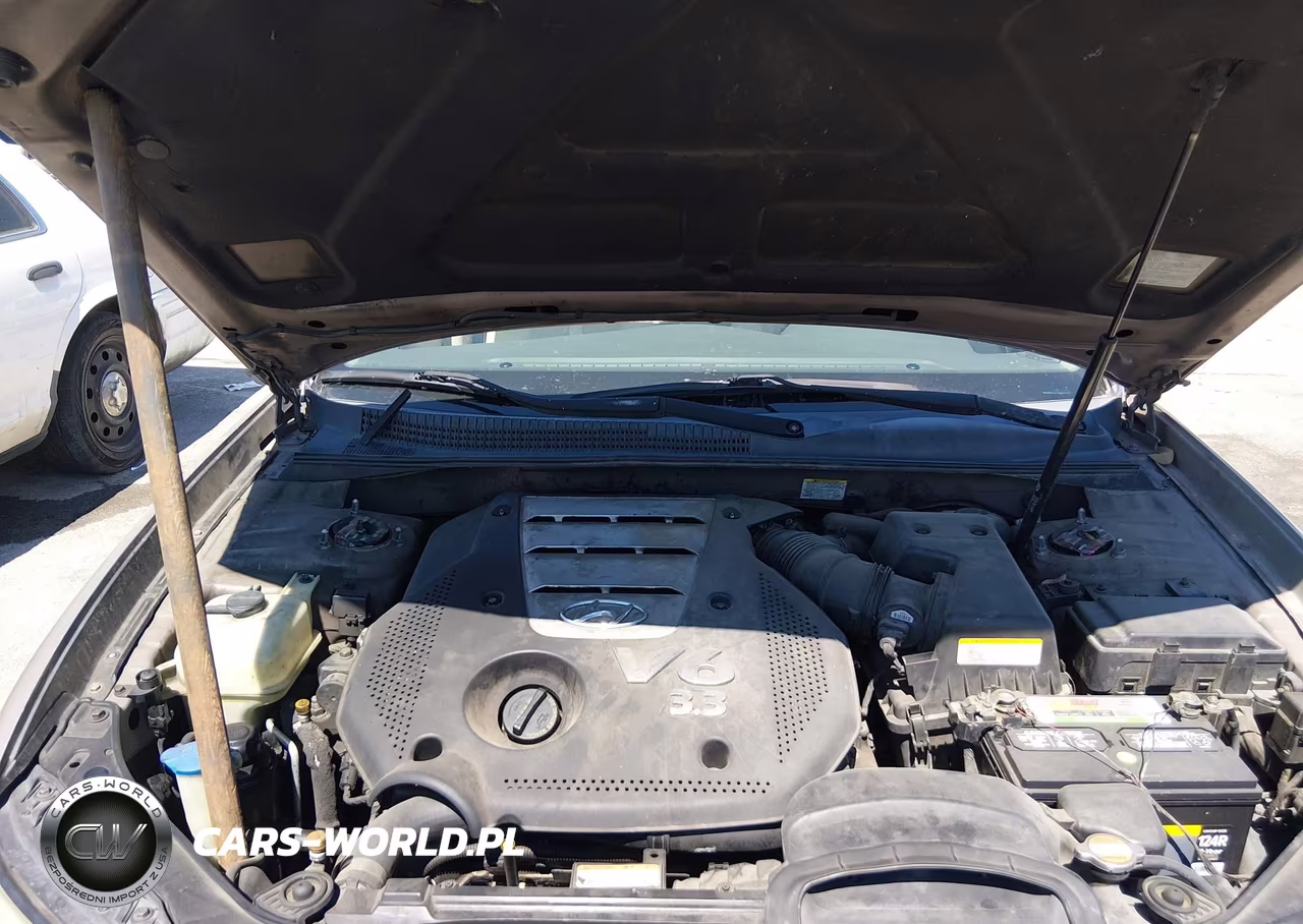 2007 Hyundai Sonata Limited-Se V6 VIN:5NPEU46F87H267476 - 10