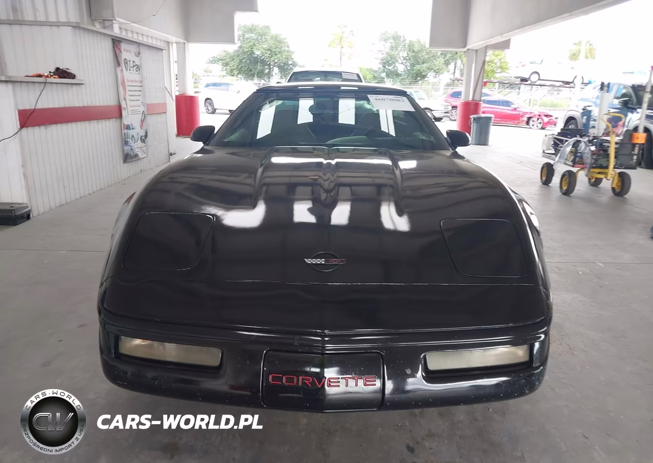 1996 Chevrolet Corvette VIN:1G1YY22P7T5100176 - 12
