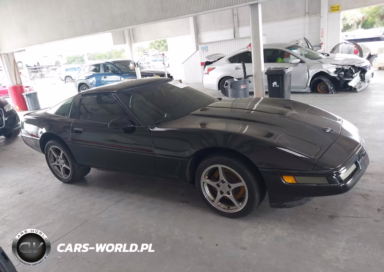 1996 Chevrolet Corvette VIN:1G1YY22P7T5100176 - 13