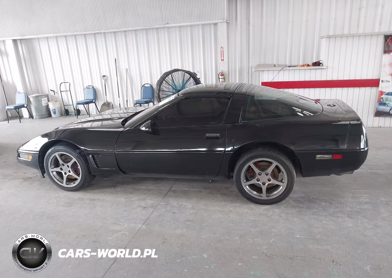 1996 Chevrolet Corvette VIN:1G1YY22P7T5100176 - 14
