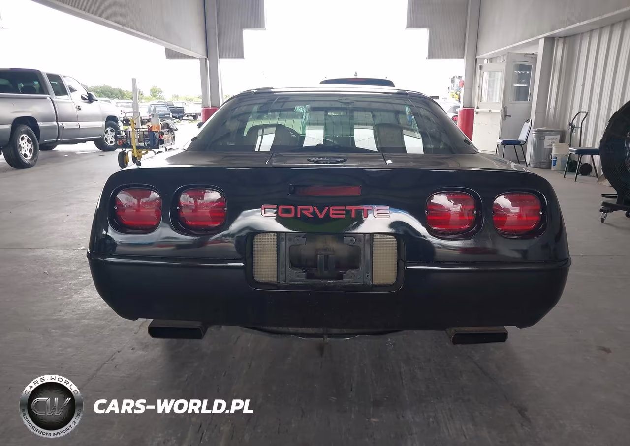 1996 Chevrolet Corvette VIN:1G1YY22P7T5100176 - 16