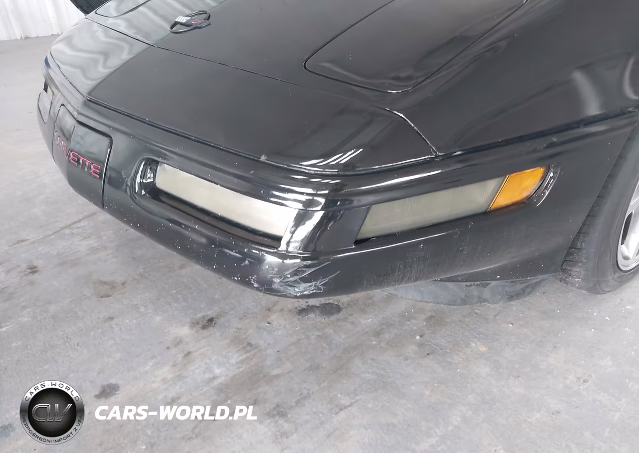 1996 Chevrolet Corvette VIN:1G1YY22P7T5100176 - 19