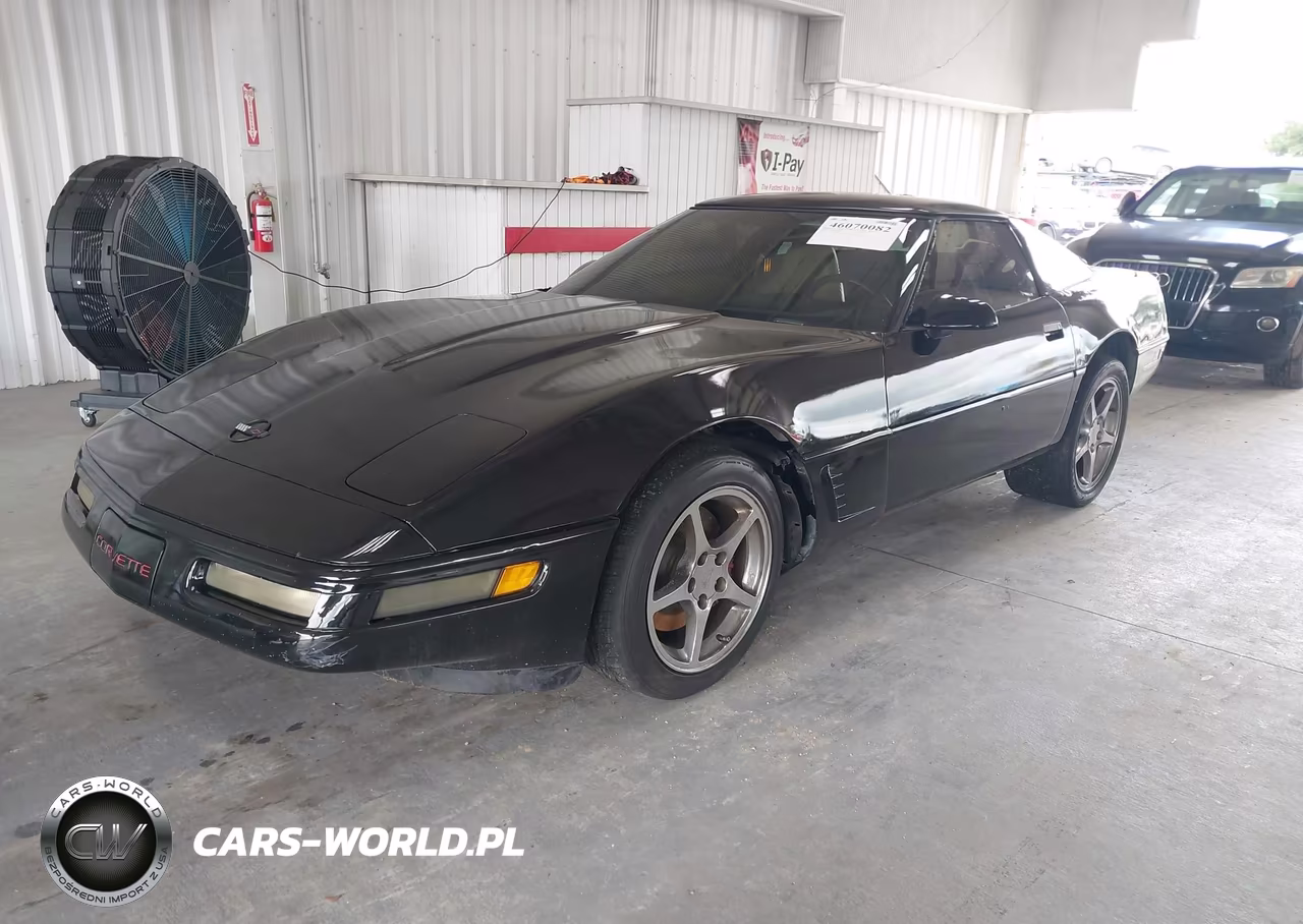 1996 Chevrolet Corvette VIN:1G1YY22P7T5100176 - 2