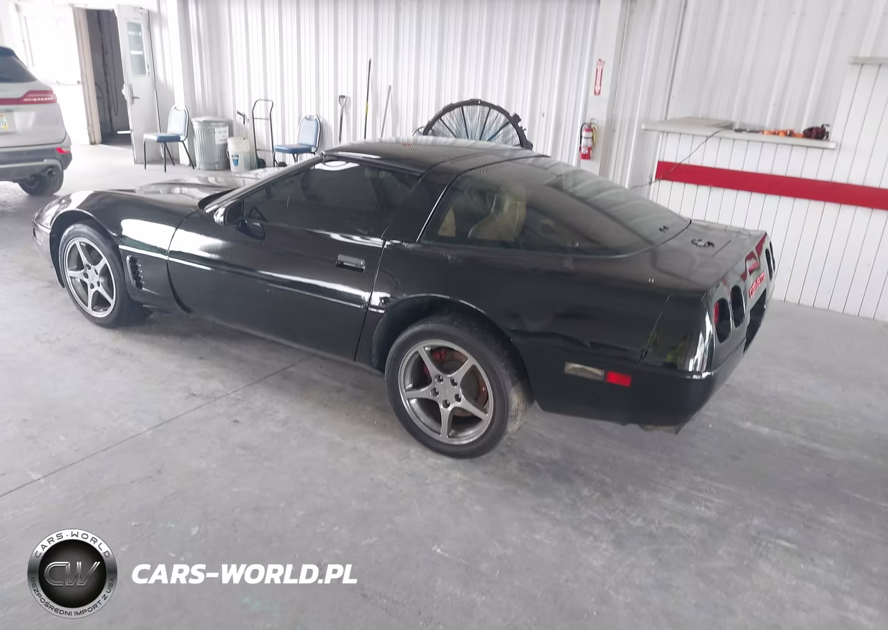 1996 Chevrolet Corvette VIN:1G1YY22P7T5100176 - 3