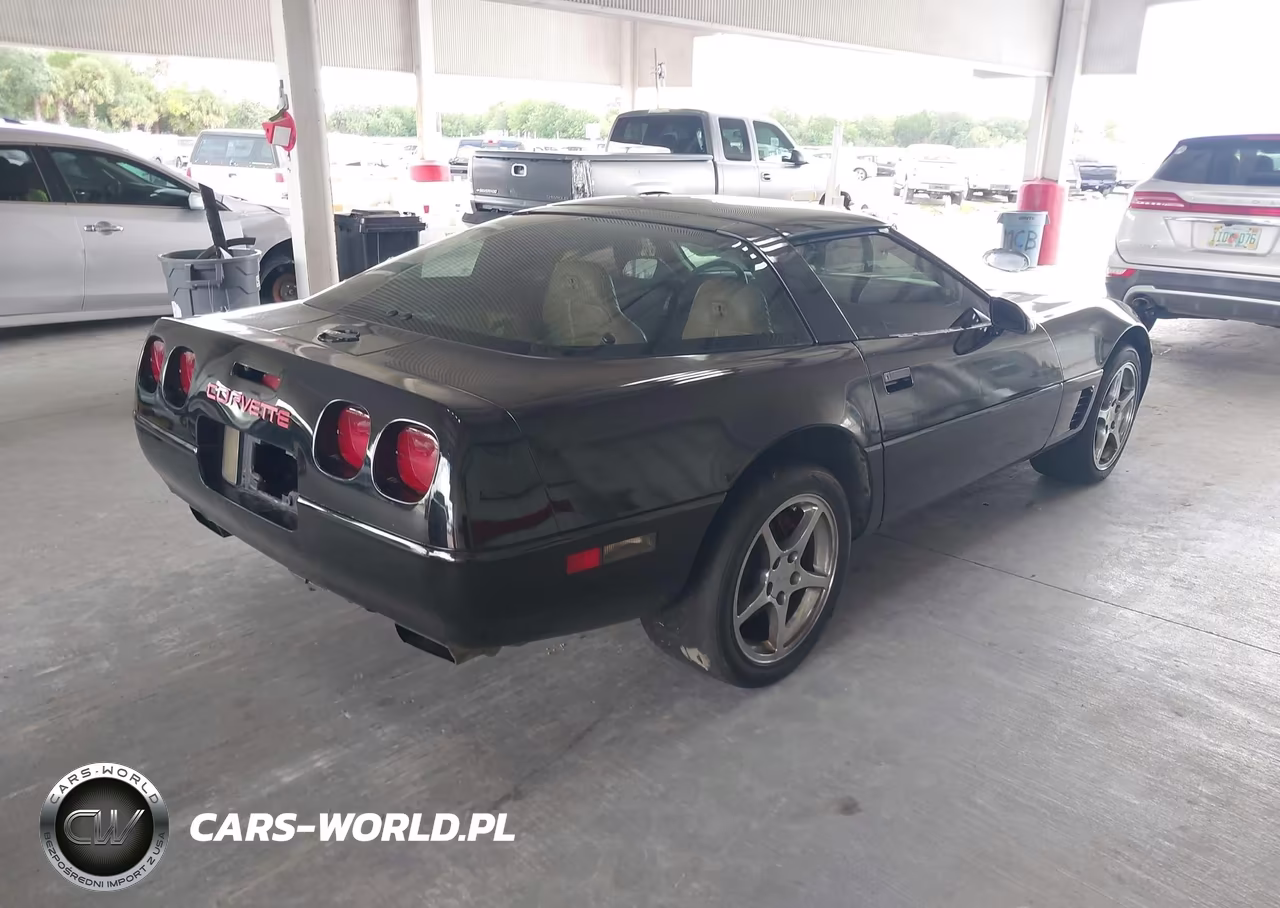 1996 Chevrolet Corvette VIN:1G1YY22P7T5100176 - 4