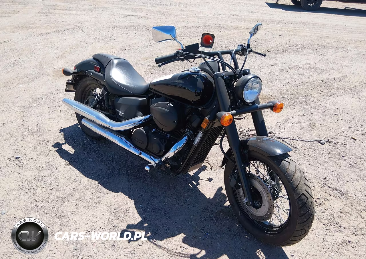 2019 Honda Vt750 C2B – zdjęcie 1 z 13