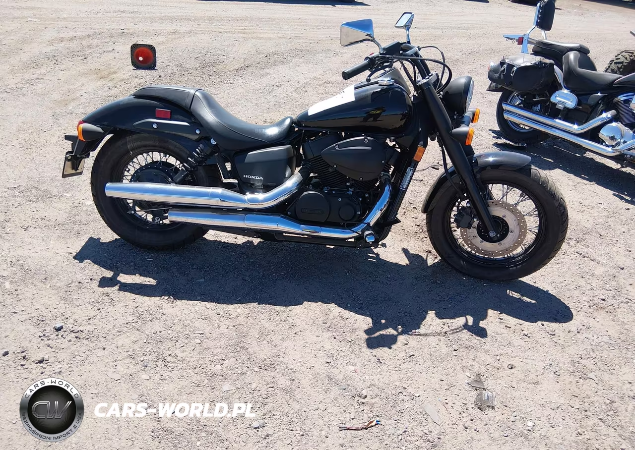 2019 Honda Vt750 C2B VIN:JH2RC5387KK900129 - 12