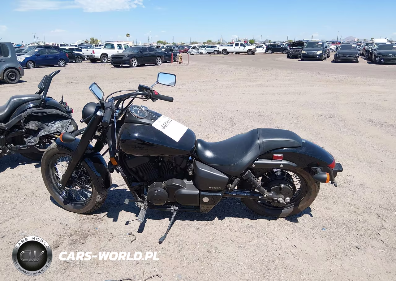 2019 Honda Vt750 C2B VIN:JH2RC5387KK900129 - 13