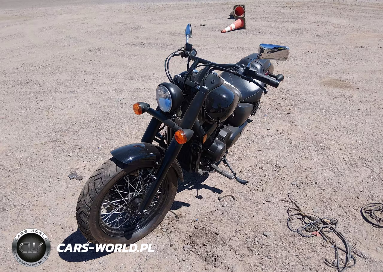2019 Honda Vt750 C2B VIN:JH2RC5387KK900129 - 2