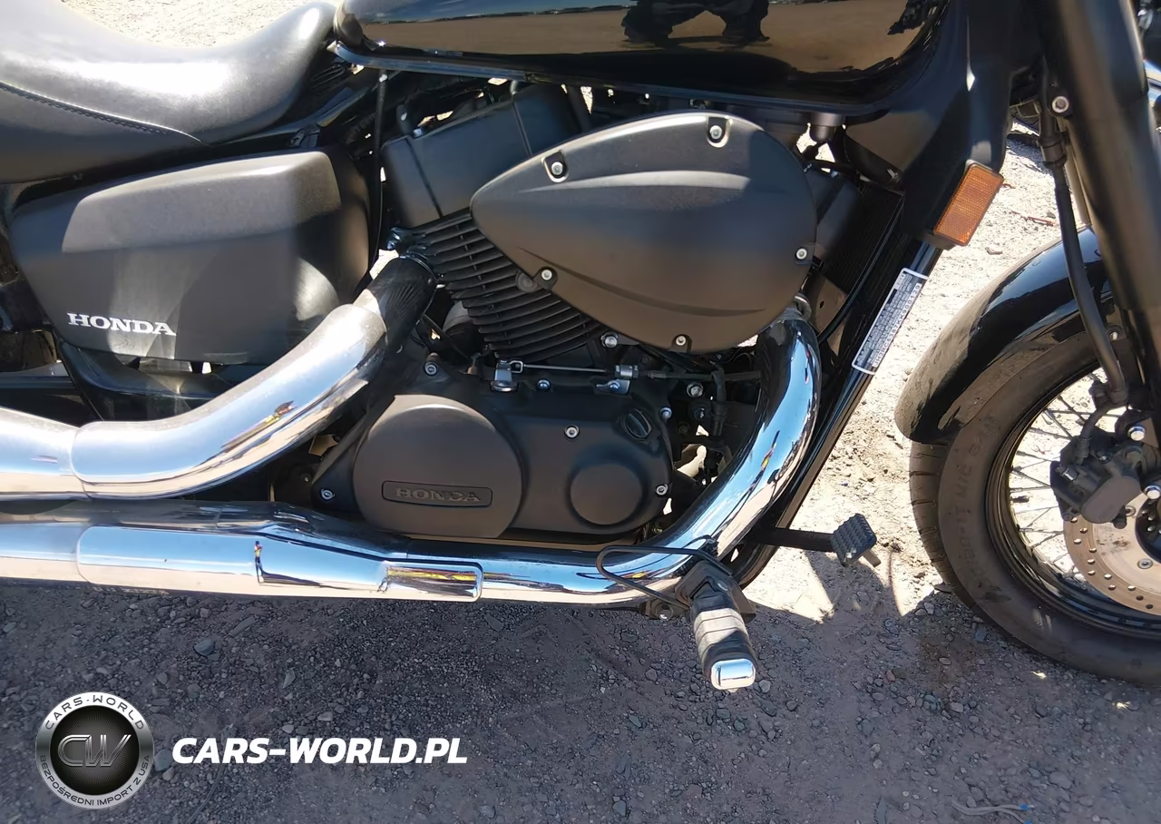 2019 Honda Vt750 C2B VIN:JH2RC5387KK900129 - 8