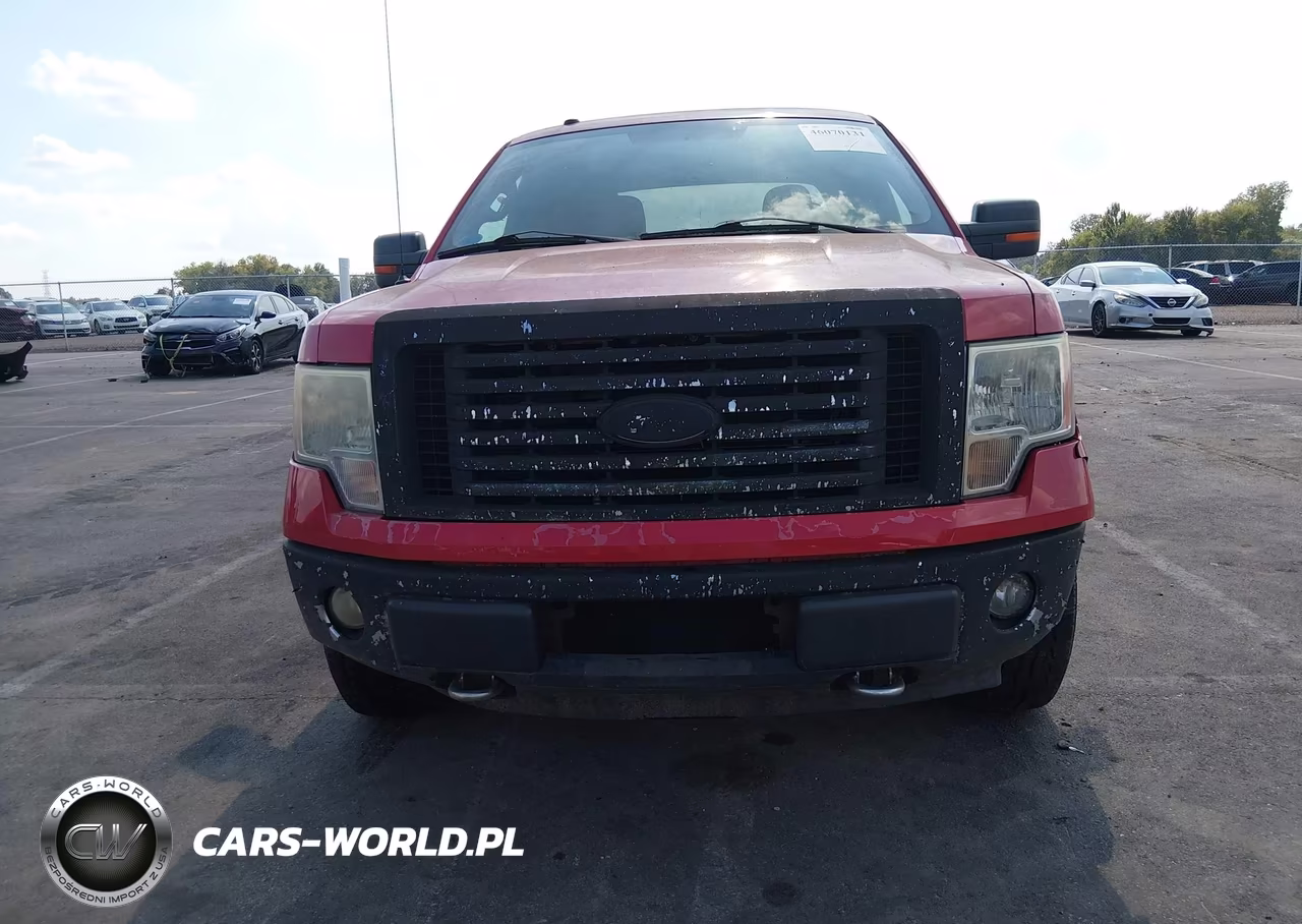 2010 Ford F-150 Fx4-Harley-Davidson-King Ranch-Lariat-Platinum-Xl-Xlt VIN:1FTFW1EV2AFB30525 - 13