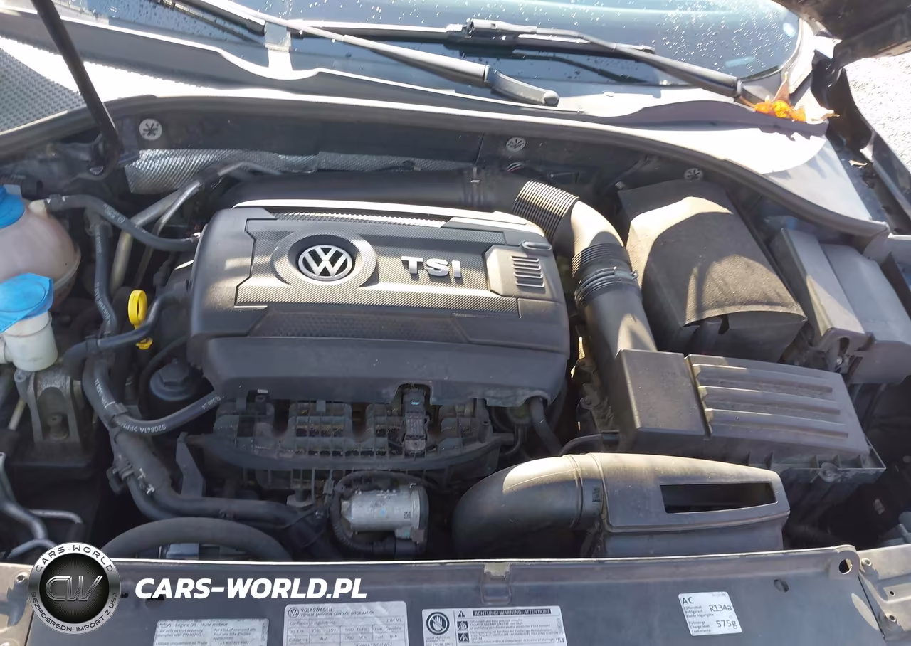 2014 Volkswagen Passat 1.8T Sel Premium VIN:1VWCS7A3XEC017349 - 10