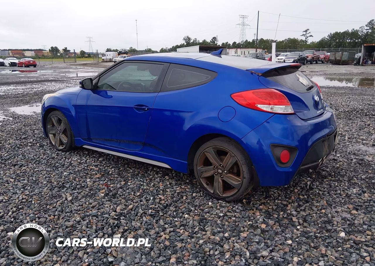 2014 Hyundai Veloster Turbo W-Black VIN:KMHTC6AEXEU198082 - 3