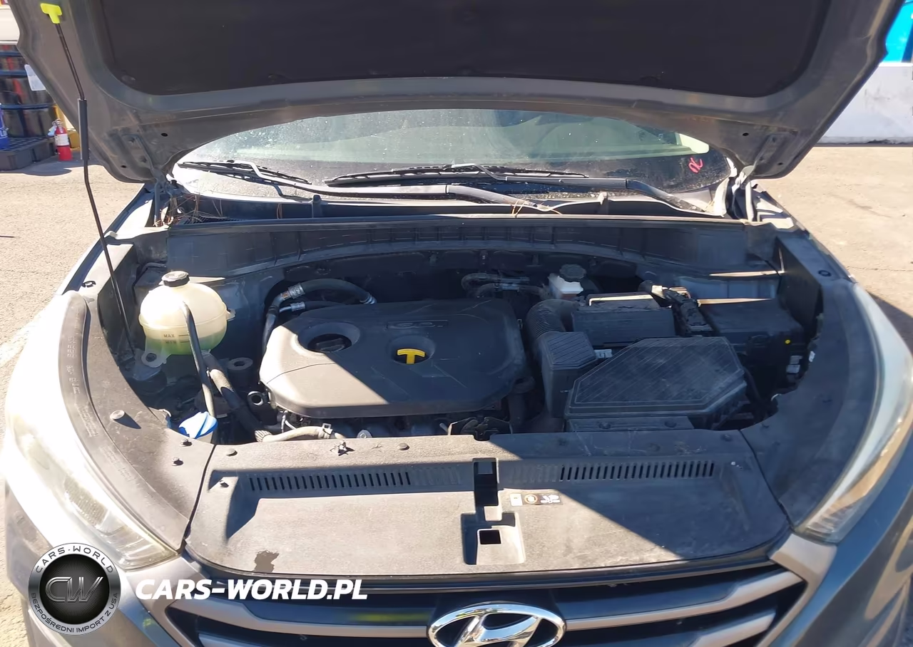 2016 Hyundai Tucson Se VIN:KM8J33A42GU027312 - 10