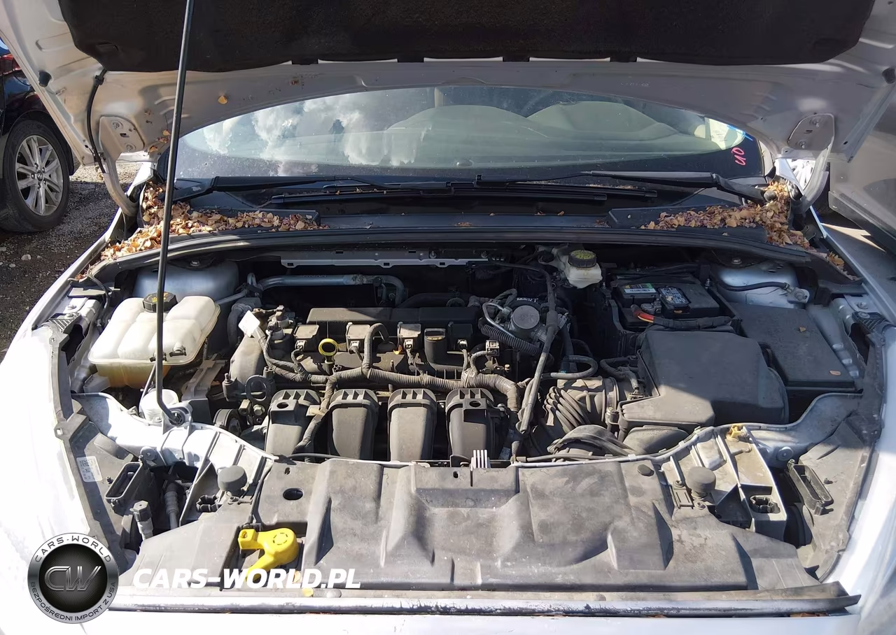 2017 Ford Focus Se VIN:1FADP3K24HL259779 - 10