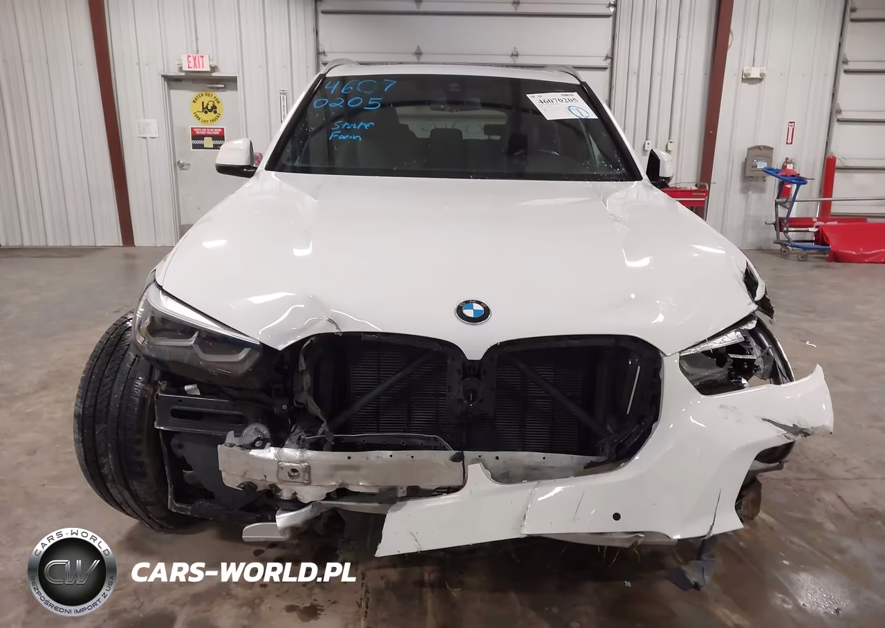 2019 BMW X5 xDrive40I VIN:5UXCR6C58KLL39134 - 13