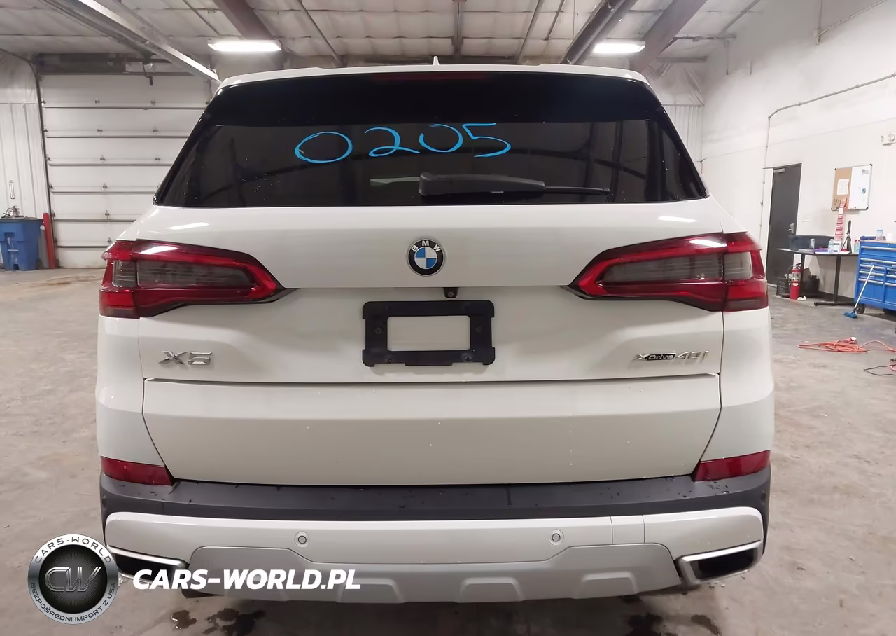 2019 BMW X5 xDrive40I VIN:5UXCR6C58KLL39134 - 17