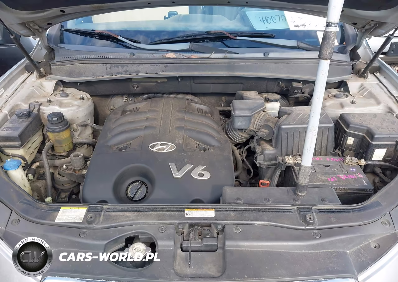 2008 Hyundai Santa Fe Limited-Se VIN:5NMSH13E38H136987 - 10
