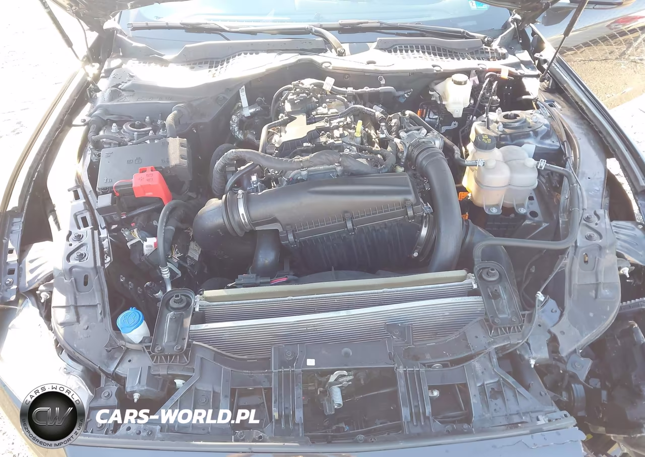 2024 Ford Mustang Ecoboost Fastback VIN:1FA6P8TH8R5110709 - 10