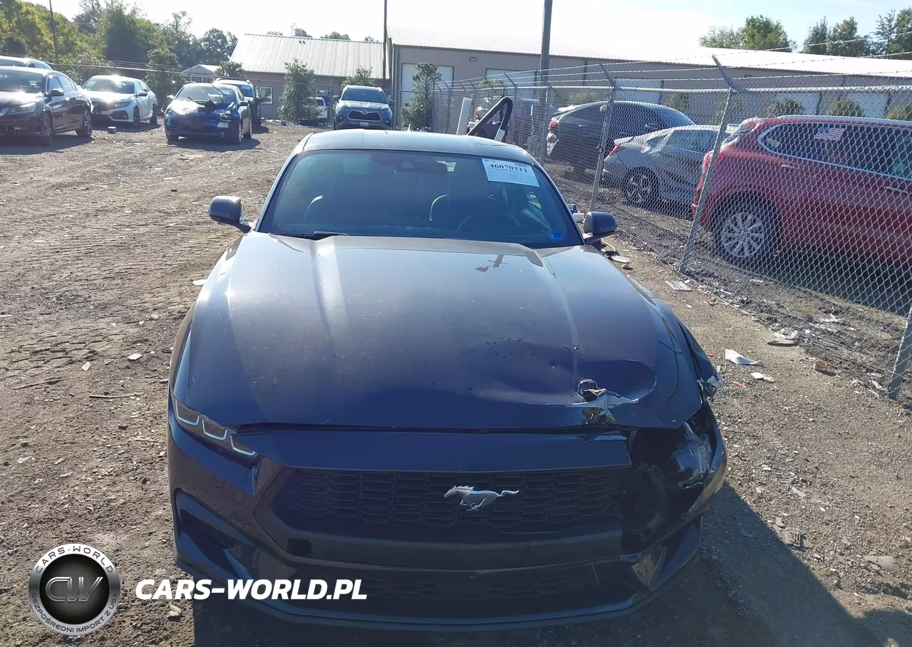 2024 Ford Mustang Ecoboost Fastback VIN:1FA6P8TH8R5110709 - 12