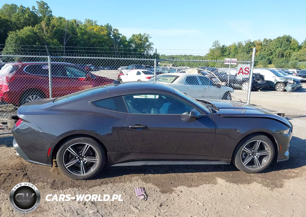 2024 Ford Mustang Ecoboost Fastback VIN:1FA6P8TH8R5110709 - 13
