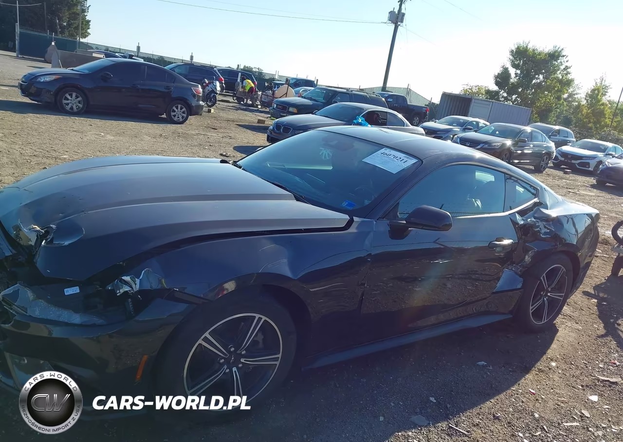 2024 Ford Mustang Ecoboost Fastback VIN:1FA6P8TH8R5110709 - 14