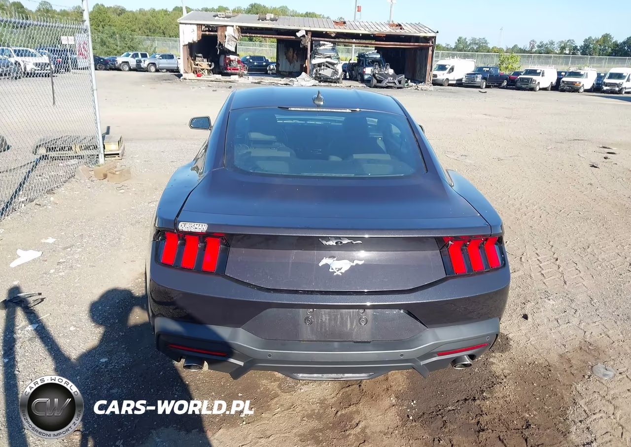 2024 Ford Mustang Ecoboost Fastback VIN:1FA6P8TH8R5110709 - 16