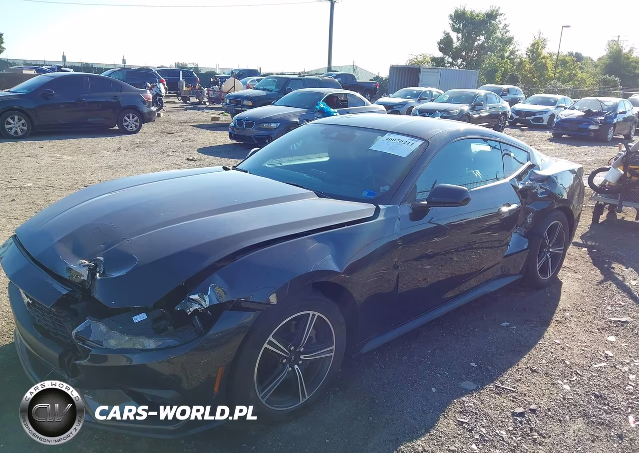 2024 Ford Mustang Ecoboost Fastback VIN:1FA6P8TH8R5110709 - 2