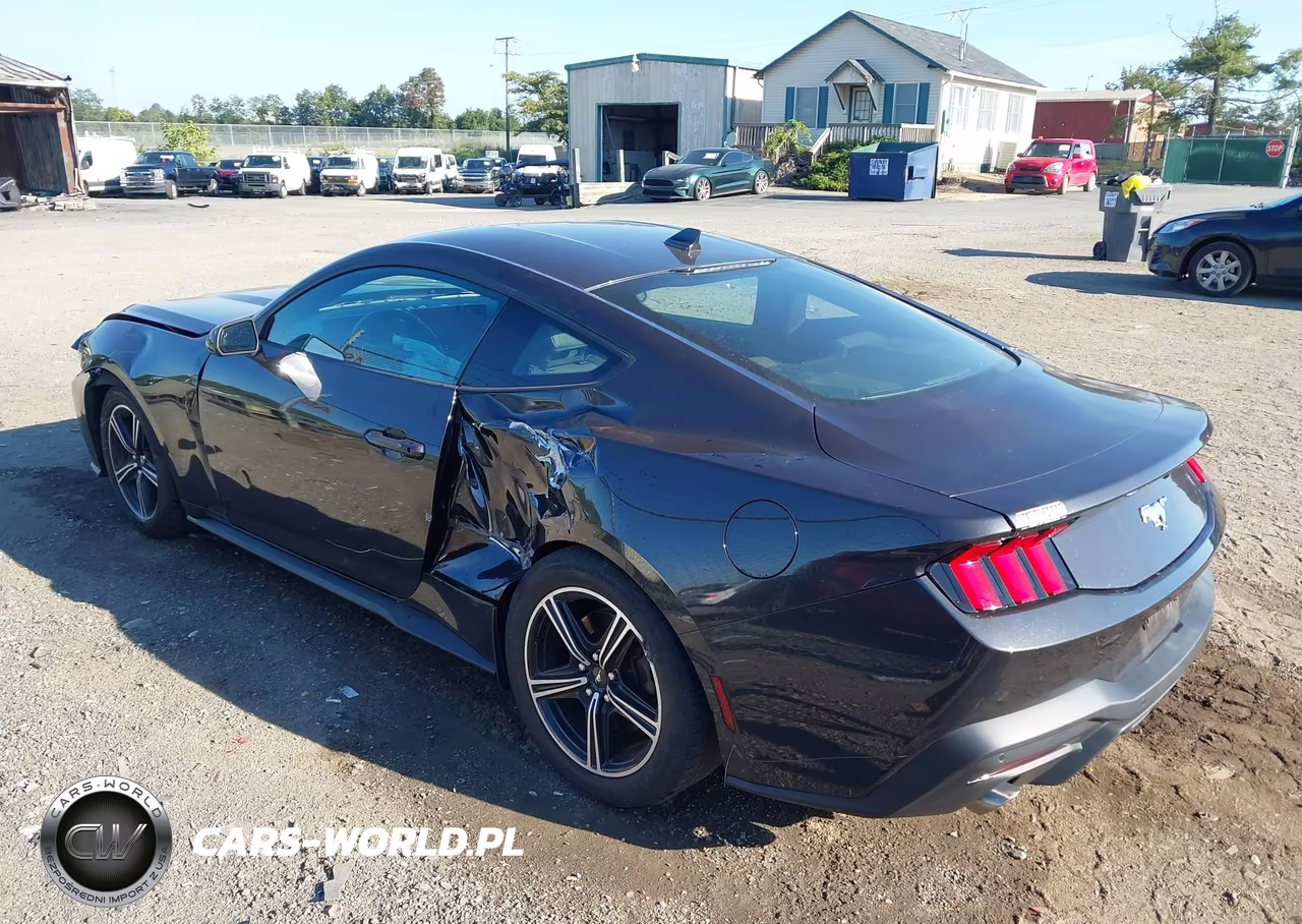 2024 Ford Mustang Ecoboost Fastback VIN:1FA6P8TH8R5110709 - 3