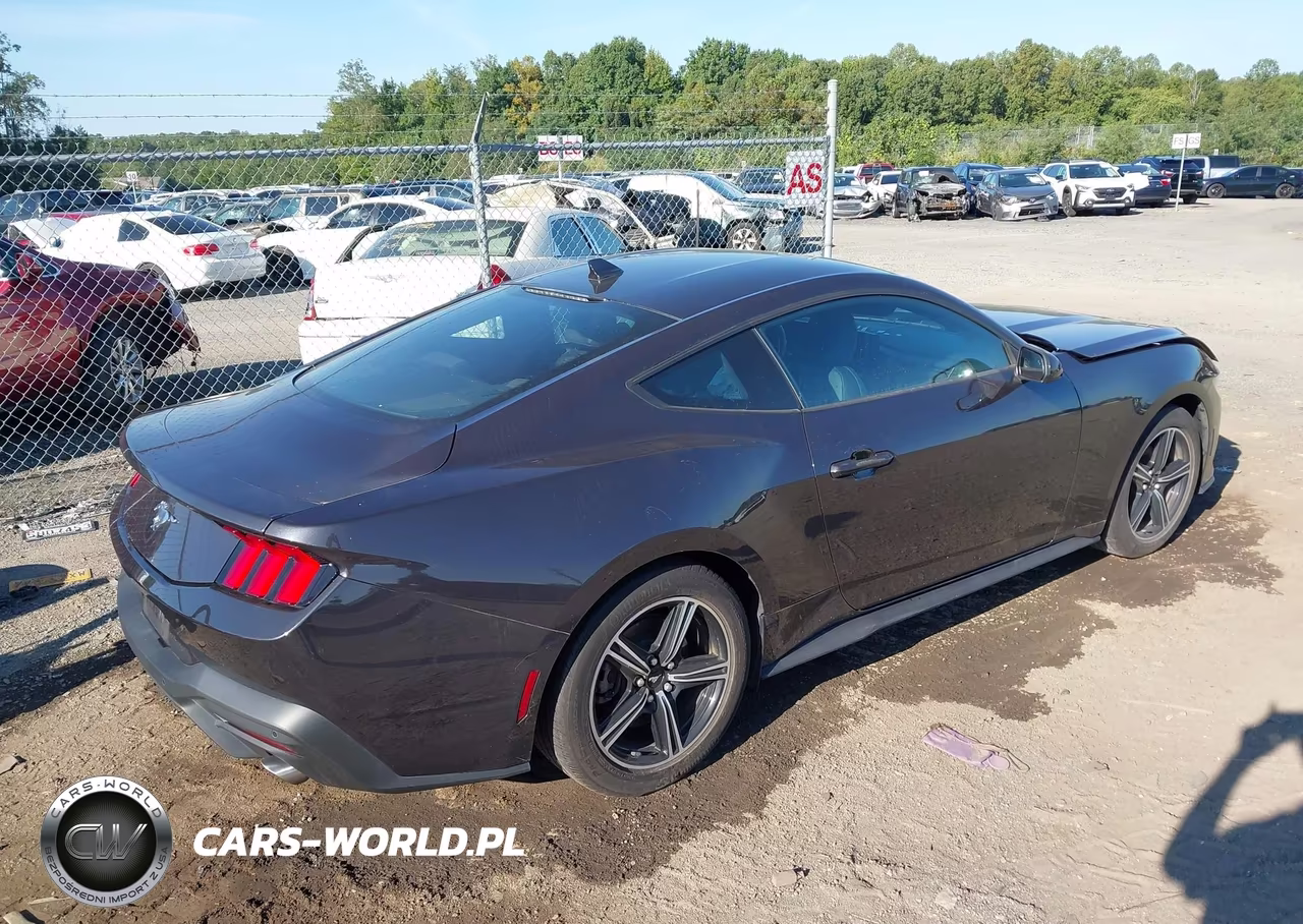 2024 Ford Mustang Ecoboost Fastback VIN:1FA6P8TH8R5110709 - 4