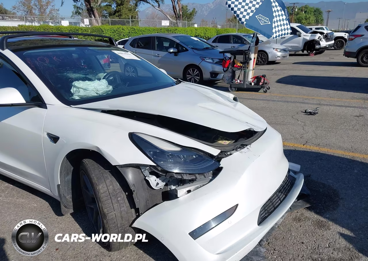 2021 Tesla Model 3 Standard Range Plus Rear-Wheel Drive VIN:5YJ3E1EA3MF874145 - 12
