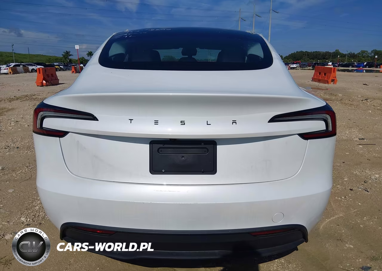 2025 Tesla Model 3 Long Range Rear-Wheel Drive-Standard Rear-Wheel Drive VIN:5YJ3E1EA2SF117122 - 15