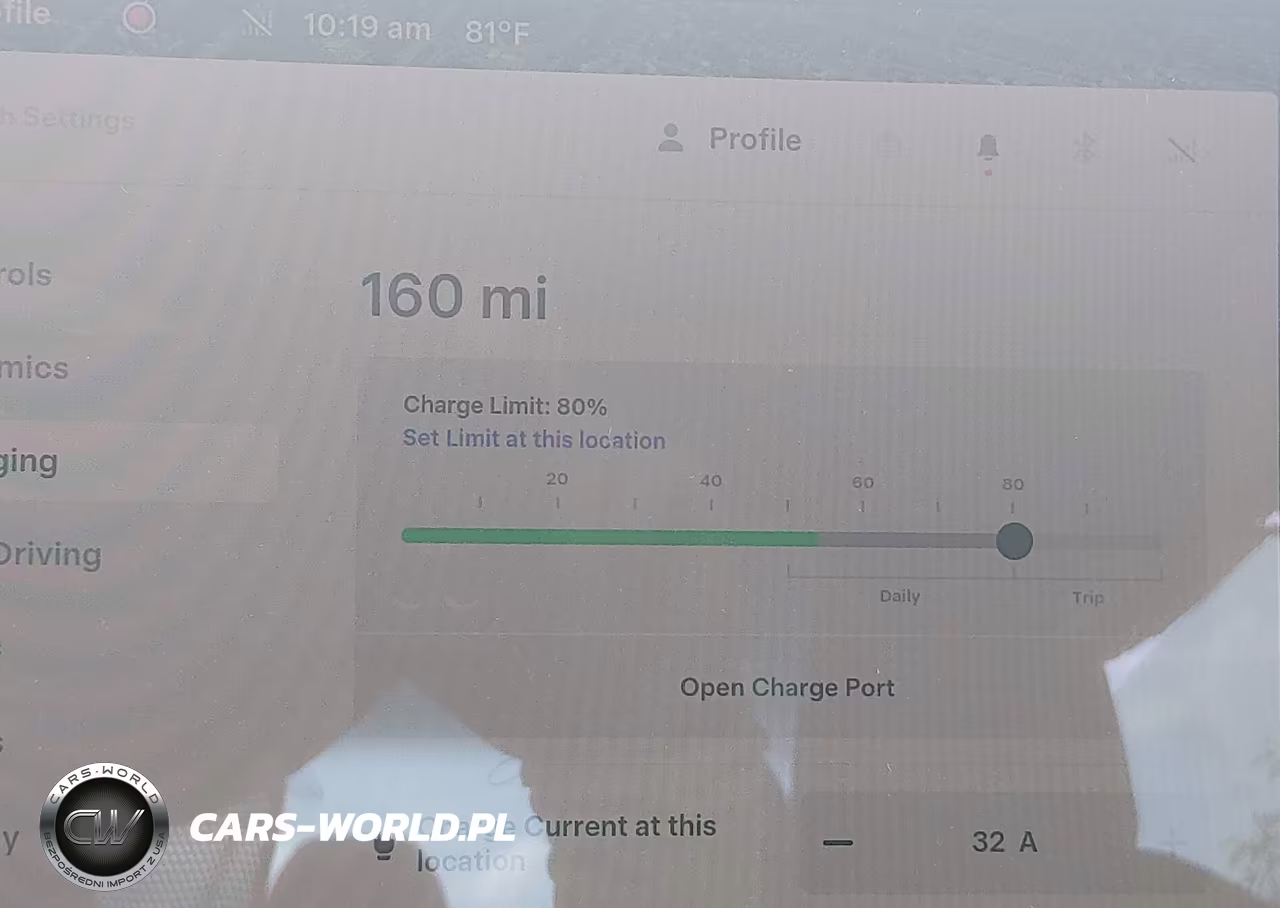 2025 Tesla Model 3 Long Range Rear-Wheel Drive-Standard Rear-Wheel Drive VIN:5YJ3E1EA2SF117122 - 16