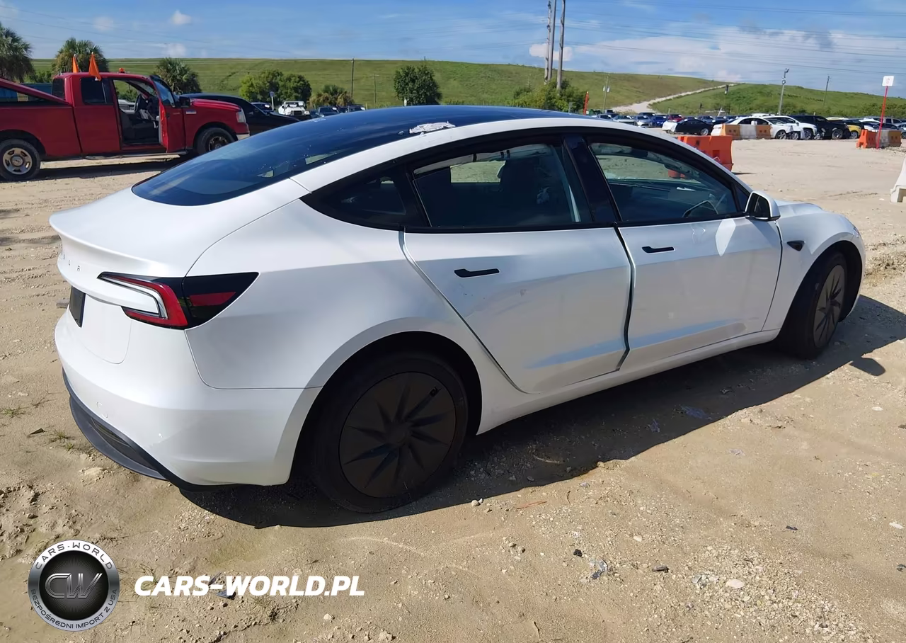 2025 Tesla Model 3 Long Range Rear-Wheel Drive-Standard Rear-Wheel Drive VIN:5YJ3E1EA2SF117122 - 4