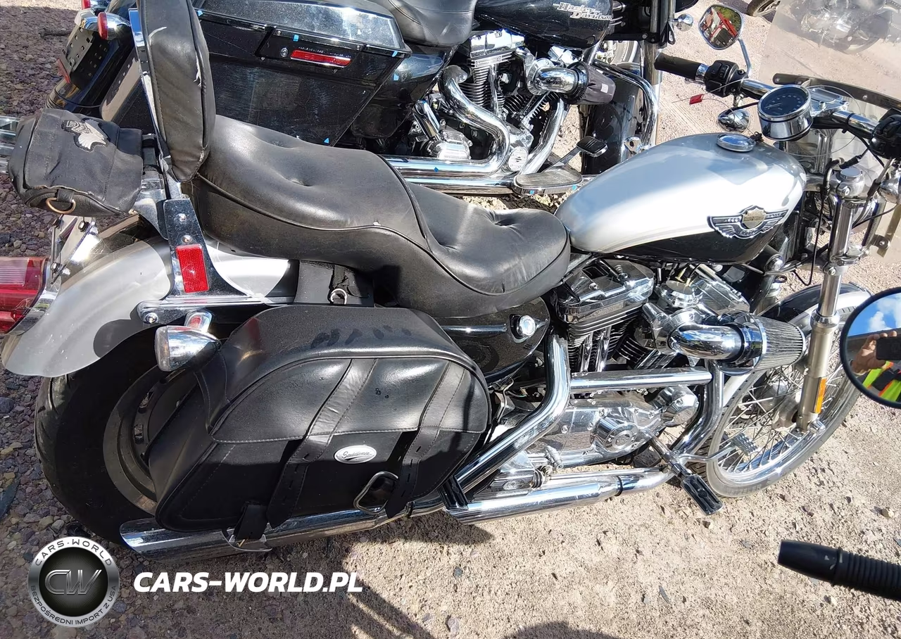 2003 Harley-Davidson Xl1200C VIN:1HD1C624X3K436164 - 12