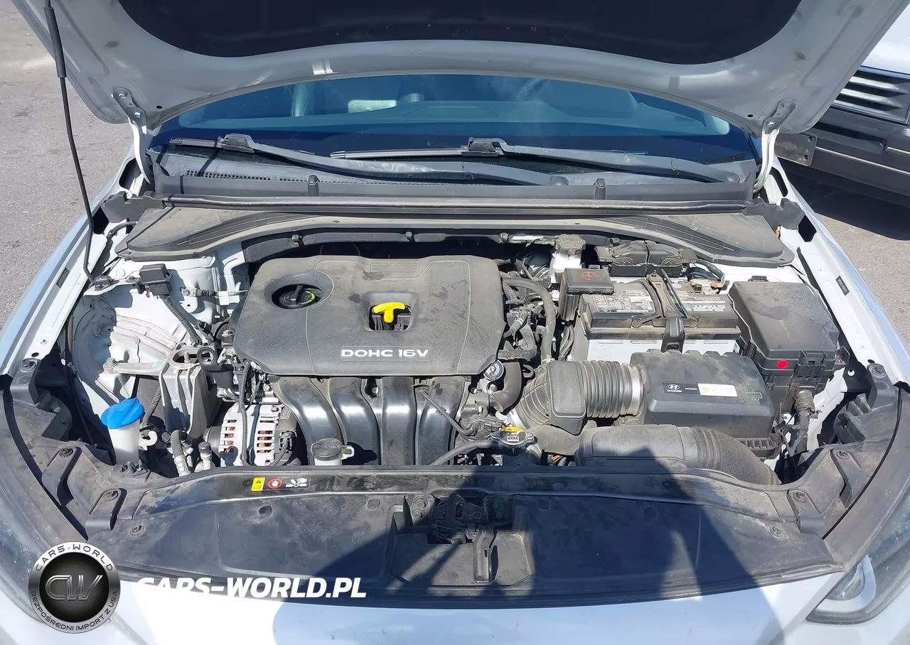 2017 Hyundai Elantra Limited VIN:5NPD84LF7HH041676 - 10