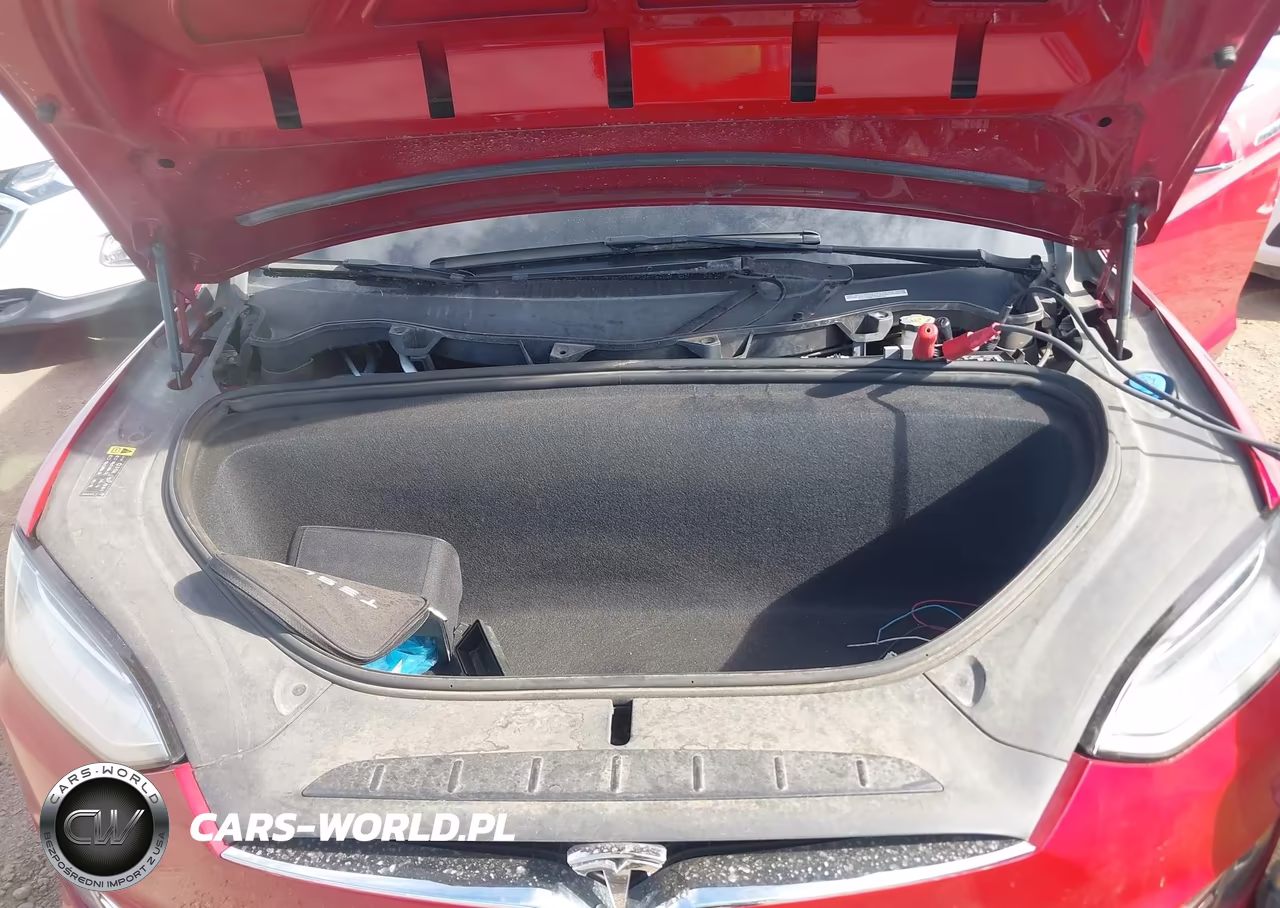 2017 Tesla Model X VIN:5YJXCAE21HF064194 - 10