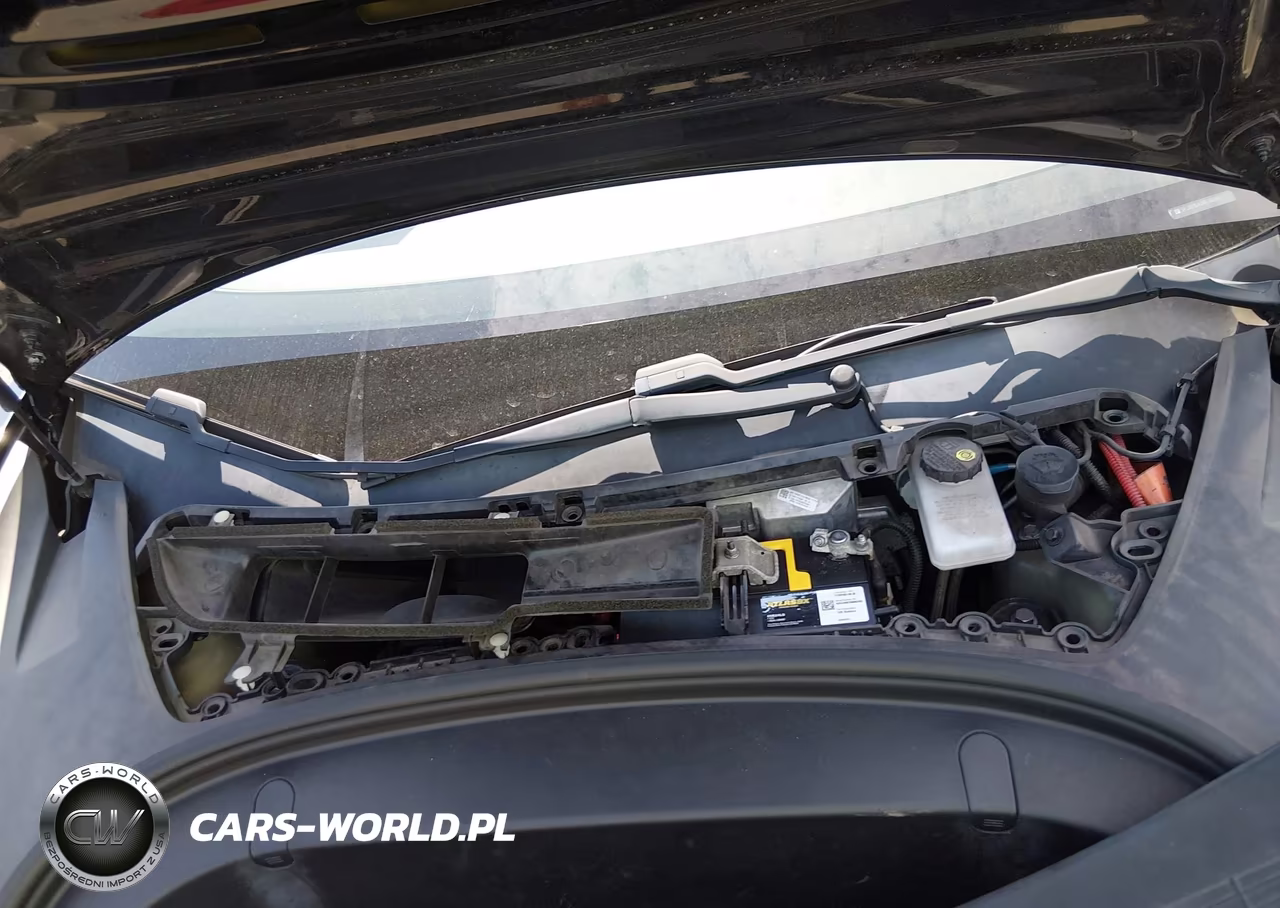 2019 Tesla Model 3 Long Range-Mid Range-Standard Range-Standard Range Plus VIN:5YJ3E1EA2KF316901 - 10