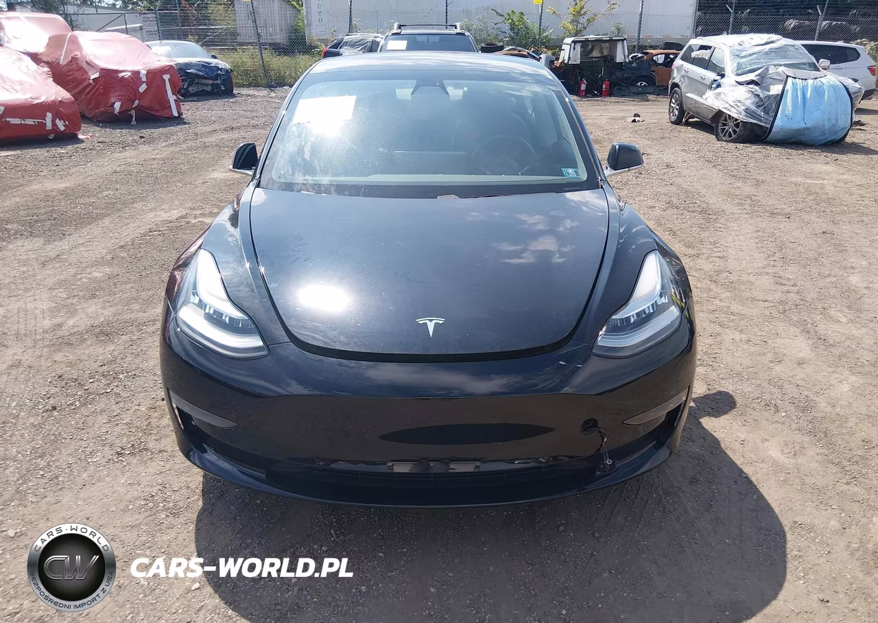 2019 Tesla Model 3 Long Range-Mid Range-Standard Range-Standard Range Plus VIN:5YJ3E1EA2KF316901 - 12