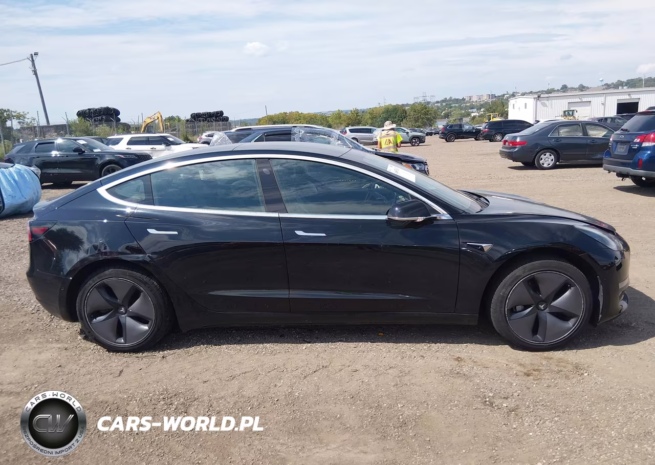 2019 Tesla Model 3 Long Range-Mid Range-Standard Range-Standard Range Plus VIN:5YJ3E1EA2KF316901 - 13