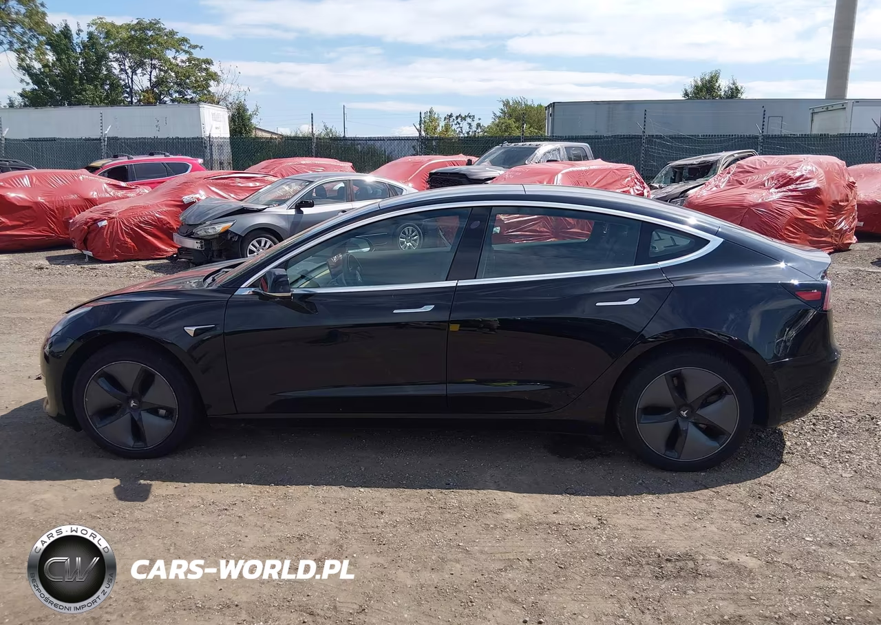 2019 Tesla Model 3 Long Range-Mid Range-Standard Range-Standard Range Plus VIN:5YJ3E1EA2KF316901 - 14