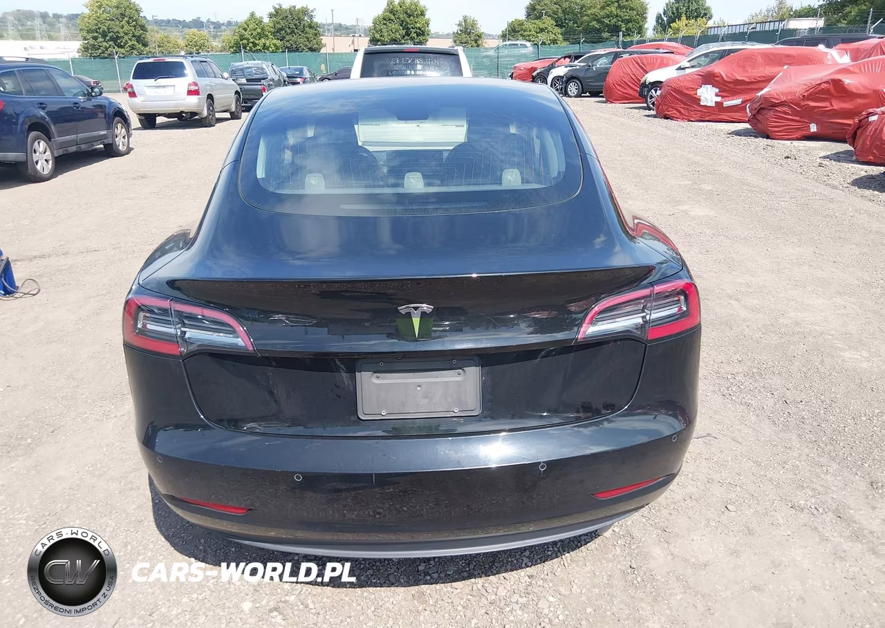2019 Tesla Model 3 Long Range-Mid Range-Standard Range-Standard Range Plus VIN:5YJ3E1EA2KF316901 - 16