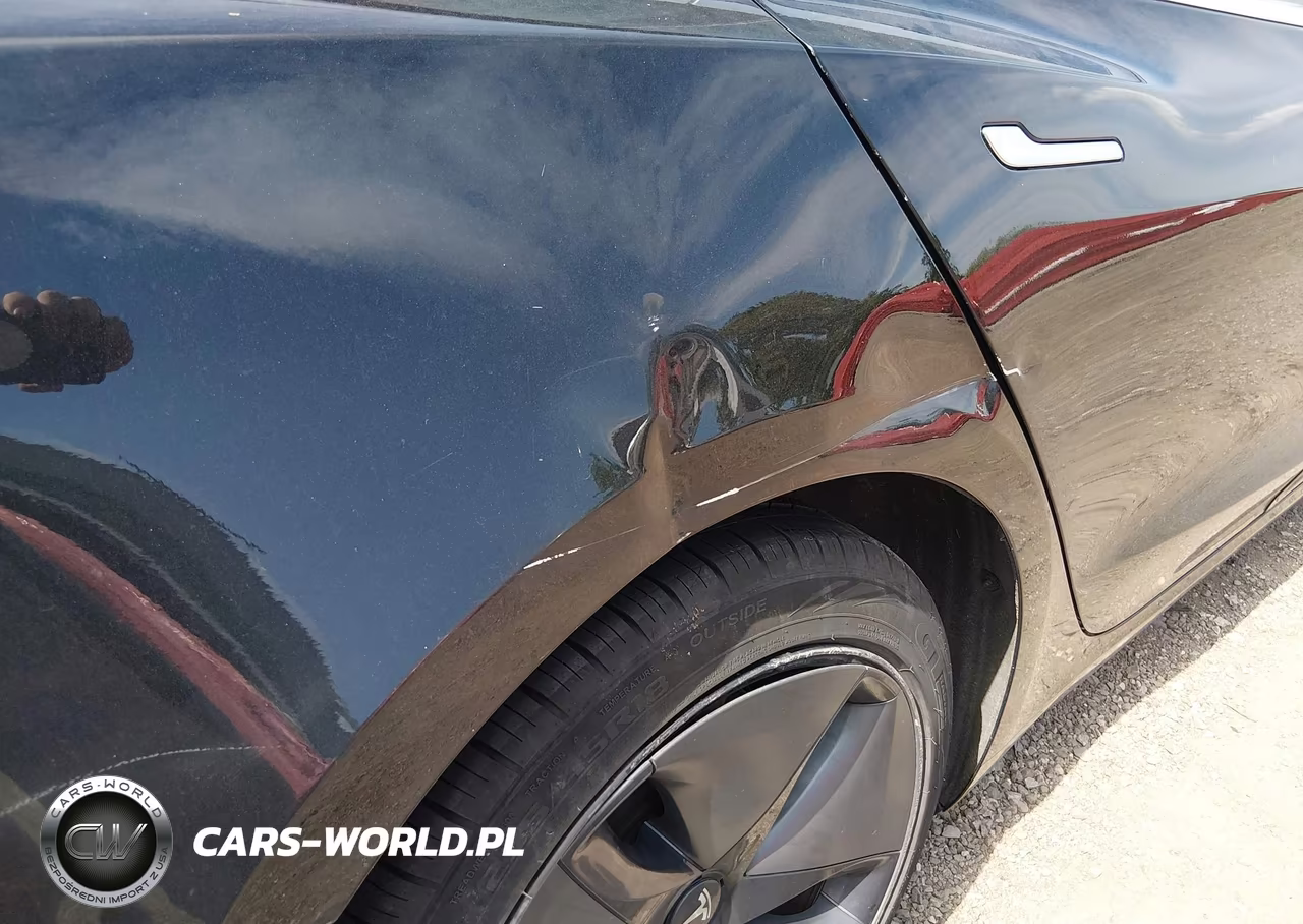 2019 Tesla Model 3 Long Range-Mid Range-Standard Range-Standard Range Plus VIN:5YJ3E1EA2KF316901 - 20