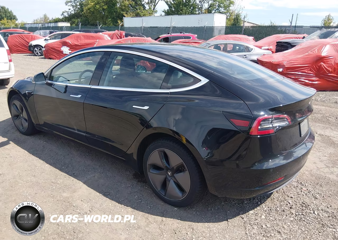 2019 Tesla Model 3 Long Range-Mid Range-Standard Range-Standard Range Plus VIN:5YJ3E1EA2KF316901 - 3