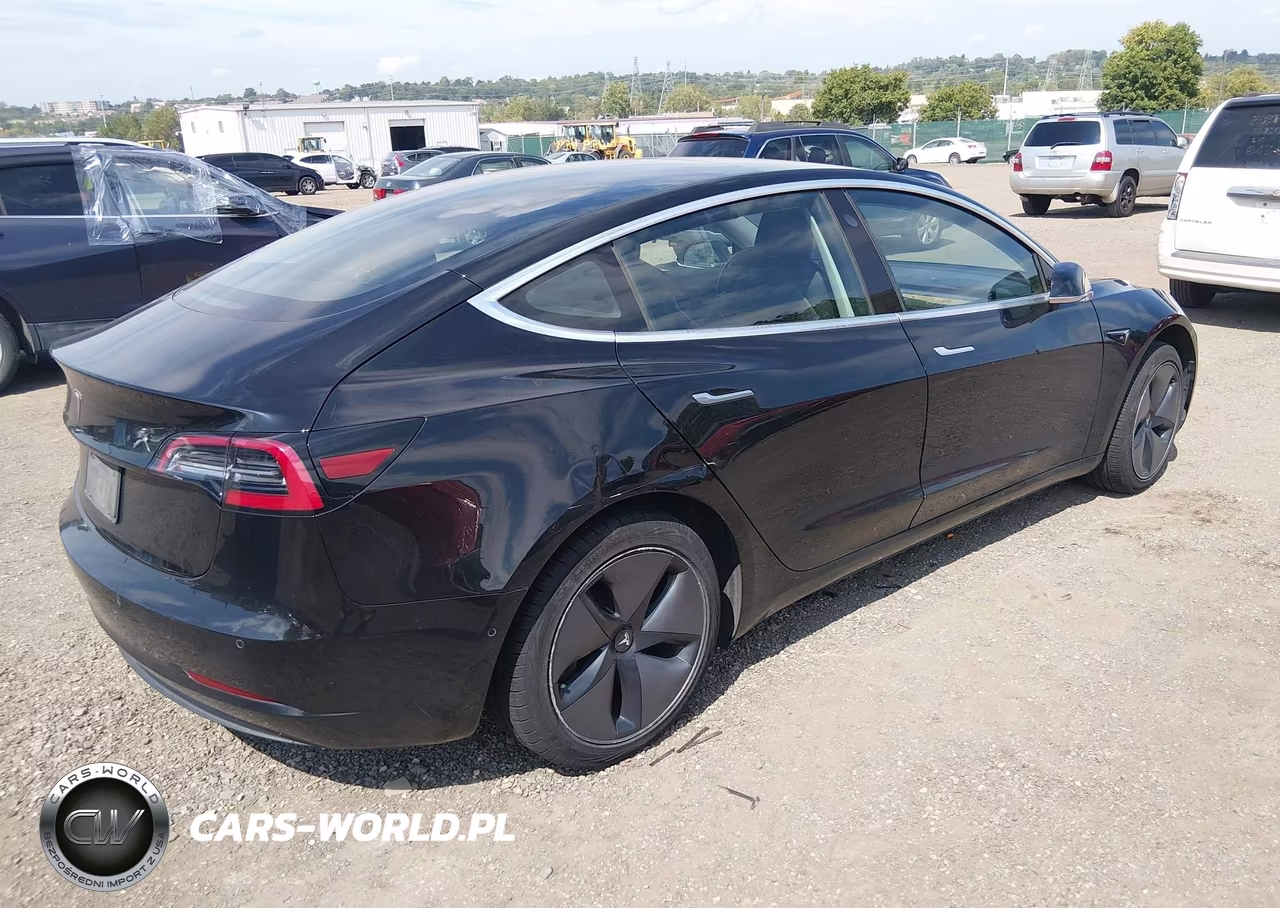 2019 Tesla Model 3 Long Range-Mid Range-Standard Range-Standard Range Plus VIN:5YJ3E1EA2KF316901 - 4