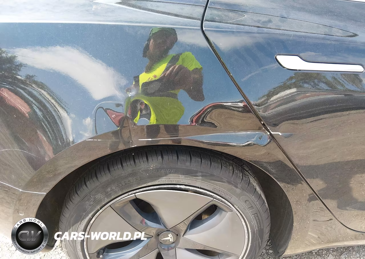 2019 Tesla Model 3 Long Range-Mid Range-Standard Range-Standard Range Plus VIN:5YJ3E1EA2KF316901 - 6