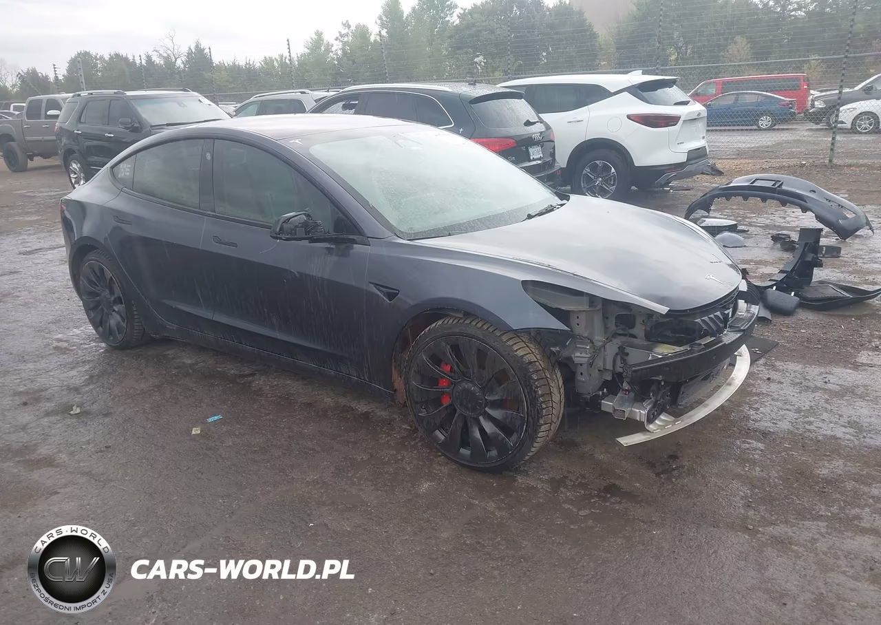 2021 Tesla Model 3 Performance Dual Motor All-Wheel Drive VIN:5YJ3E1ECXMF092541 - 1