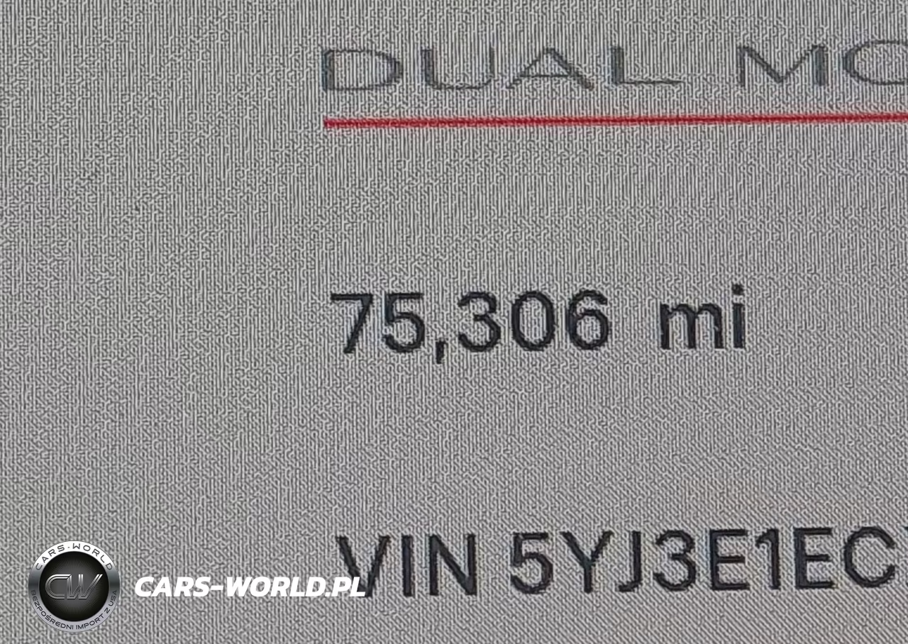 2021 Tesla Model 3 Performance Dual Motor All-Wheel Drive VIN:5YJ3E1ECXMF092541 - 16